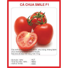 Hạt giống cà chua Smile F1 (cà chua chịu nhiệt) 30 hạt