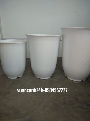 Chậu nhựa bom trắng