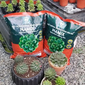 Đất trồng xương rồng sen đá Namix (Succulents Potting Mix)