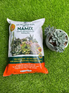 Đất trồng xương rồng sen đá Namix (Succulents Potting Mix)