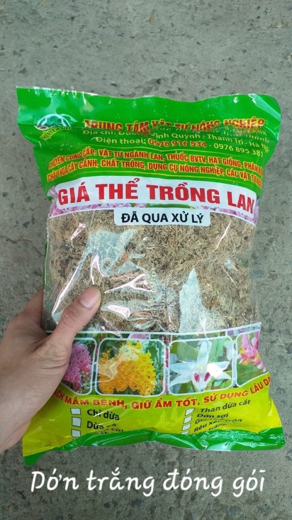 dớn trắng trồng lan