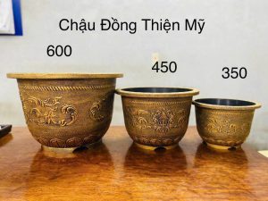 Chậu nhựa giả đồng hoa văn cổ điển