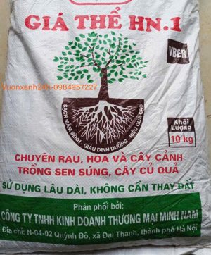 Giá thể Hn1
