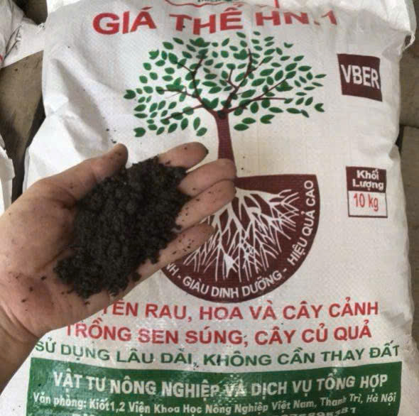 Giá thể HN1