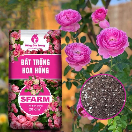 Đất trồng hoa hồng Sfarm (20dm³)