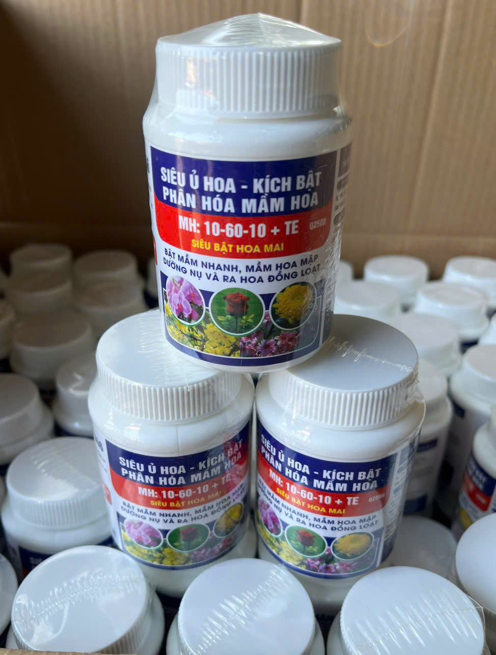 Siêu bật hoa, kích bật phân hóa mầm hoa